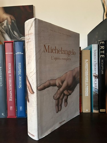 Michelangelo das komplette - das,